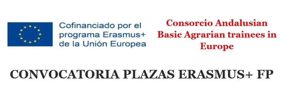 CONVOCATORIA PLAZAS ERASMUS+ FP